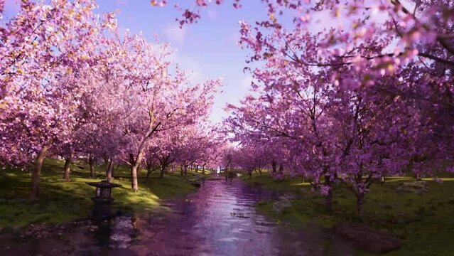 videos of nature trees blooming cheerfully in 4K quality
