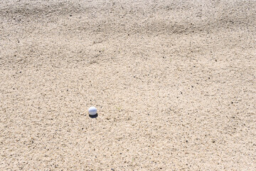 Golf ball in a freshly groomed sand trap, recreation and challenge on a sunny summer day
