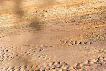 Vehicle tire tracks on the dirt road