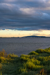 Port de Frontignan et Mont Saint-Clair à l'horizon depuis le Bois des Aresquiers au coucher du soleil
