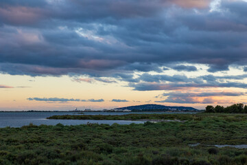 Port de Frontignan et Mont Saint-Clair à l'horizon depuis le Bois des Aresquiers au coucher du soleil