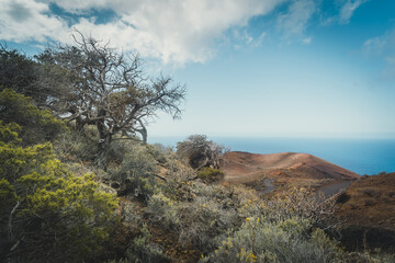 desertic and volcanic landscape in El Sabinal. El Hierro island. Canary islands. Spain