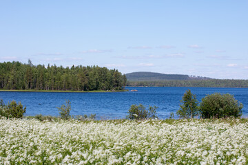 Mountain, northern rivers with rocks and a waterfall. Republic of Karelia