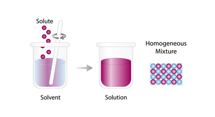 Solution, Homogeneous mixture, uniform composition, solute and solvent. Chemistry experiment. Scientific design. Vector illustration.