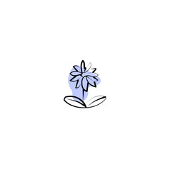 hand drawn flower illustration