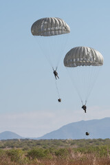 soldiers with their parachutes deployed about to touch down