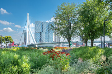 Obraz premium Ze Hielden Koers Park in Rotterdam, Zuid-Holland province, The Netherlands