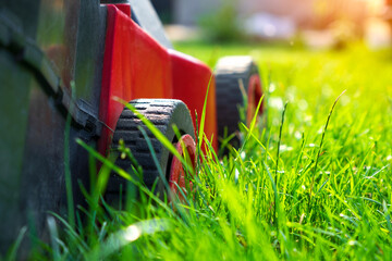 Mowing the lawn in the garden on summer days in bright sunshine, gardening - 620283315