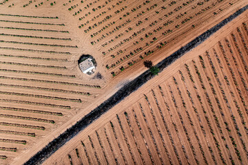 vista aérea de una granja y campos de cultivo de frutas