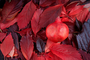 red pomegranate fruit on a background of red autumn leaves