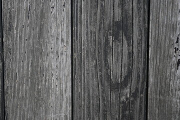 Obraz premium Grey vintage old wood texture as background, old grey vintage texture of wooden boards 