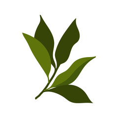 hand drawn flat leaves. twig with leaves