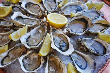 Tray of open oysters with lemon wedges