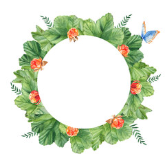 Cloudberry leaves, berries, green branches and blue butterfly. Watercolor circle summer forest frame isolated on white background. Hand drawn botanical illustration. Can be used for logo design, as