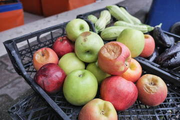collection with different old damaged food with mold,