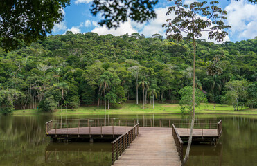Fototapeta premium Wooden jetty in a peaceful tropical lake surrounded by lush green forest
