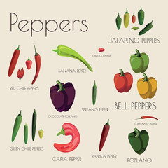 Set of Vector Illustrations of Peppers