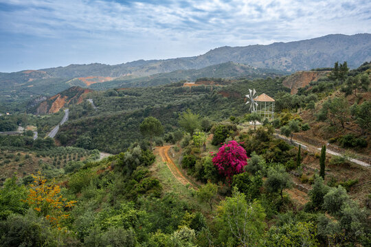 Cretan Countryside in Chania with Windmill and Flowers, Crete, Greece