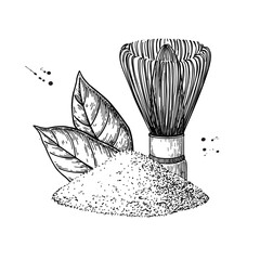 Matcha tea vector drawing. Green tea powder leaves