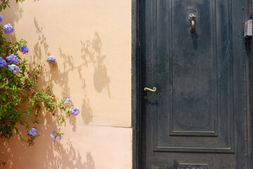Vintage door of black colour surrounded with greenery and flowers. Picturesque neighborhood in Collioure, France