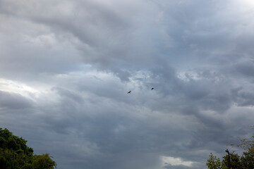 Overcast, threat of rain on a Fall Day in the southwest