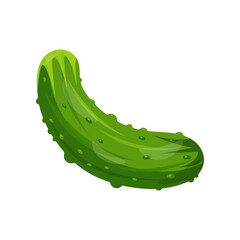 Green fresh cucumber. Vegetables