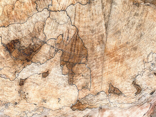old wood texture with natural pattern for background and design art work
