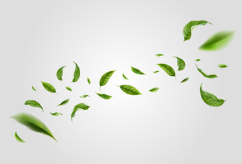 Realistic green leaves in motion on a white background. Organic, eco, vegan design. Background with flying green spring leaves. Vector illustration