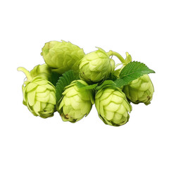Fototapeta premium a close-up view of fresh green hops on a clean white background