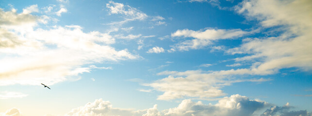 Aqua blue sky over ocean with seagull in flight shot at 28 mm focal length