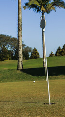 Obraz premium Buraco de um campo de golfe com uma bola de golfe próximo ao buraco em Mogi das Cruzes SP Brasil. 