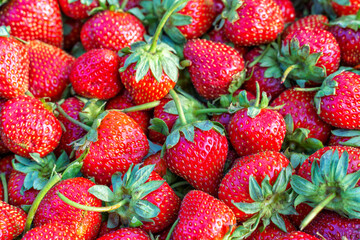 Background of fresh strawberries in summer in the garden of a country house,natural light.