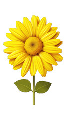 a vibrant yellow sunflower against a bright yellow backdrop, surrounded by lush green leaves