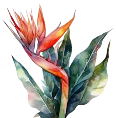 Foto op Canvas Watercolor illustration of a paradise flower Strelitzia. Ai illustration. Transparent background, png © Bonbonny