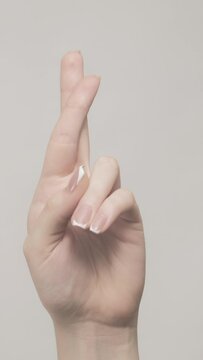 Vertical video. Cross fingers. Hope gesture. False promise. Woman hand showing wish symbol praying good luck isolated on gray free space gray background.