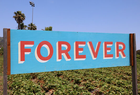 forever sign