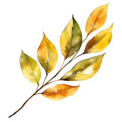Autumn Willow Leaf