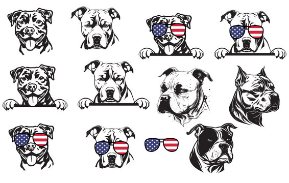 Set of American Bully dog illustrations - isolated