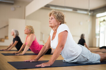 Group of active elderly women doing yoga in the studio perform an exercise in the dog pose face up, strengthening the arms and ..stretching the chest area