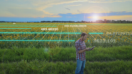  Agronomist Collecting Data From Sunflower Farming Field, Agriculture Technology With Graphics