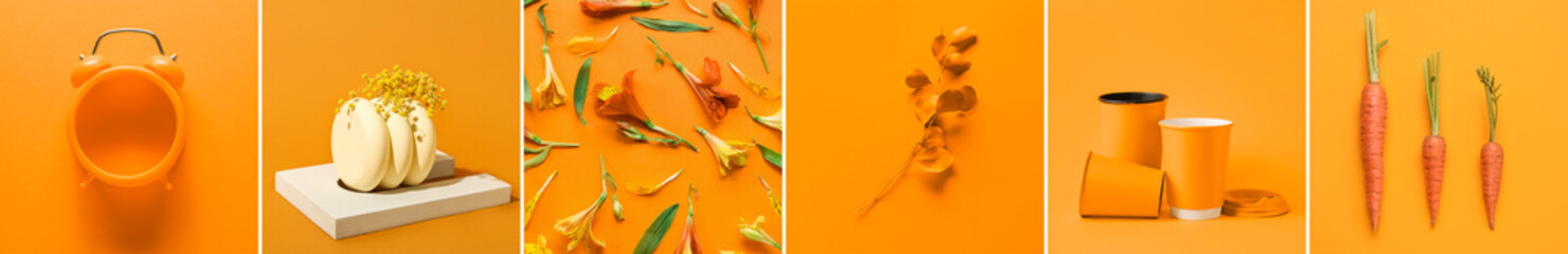Collage of photos in orange colors