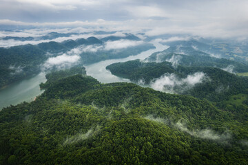 Foggy mountains in Tennessee. Little Sycamore, Tennessee mountains.  - 620328140