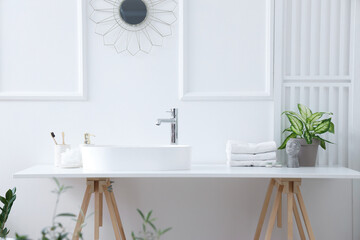 Interior of light bathroom with white sink, bath accessories and houseplants