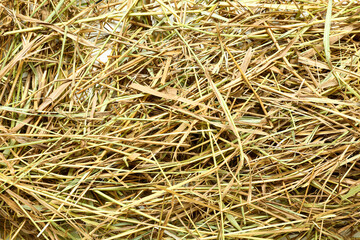 Heap of straw as background