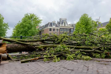 Tuinposter Poly summer storm hit Amsterdam with cloudy day and raining, The tree fall or broken over street, The wind blew down the trees and crushed the bridge along the canal, Noord Holland, Netherlands. © Sarawut