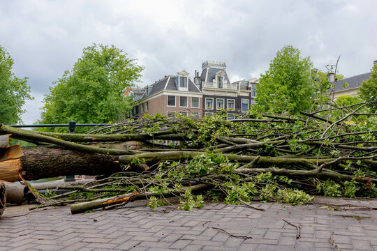 Poly summer storm hit Amsterdam with cloudy day and raining, The tree fall or broken over street, The wind blew down the trees and crushed the bridge along the canal, Noord Holland, Netherlands.