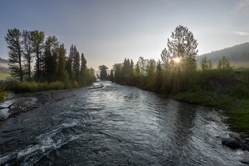 Montana Mountain River