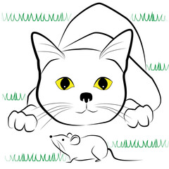 mouse and cat
