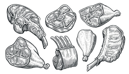 Meat products set sketch. Beef steak, ham, lamb ribs, pork, chicken leg. Butchery shop assortment vector illustration © ~ Bitter ~