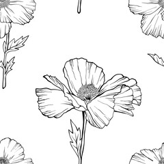 White Poppy Flowers seamless pattern. Hand drawn sketch style. Vector illustration on white. Floral background.